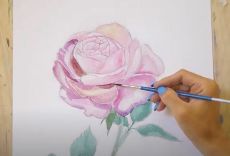 Рисуем Роза акварелью