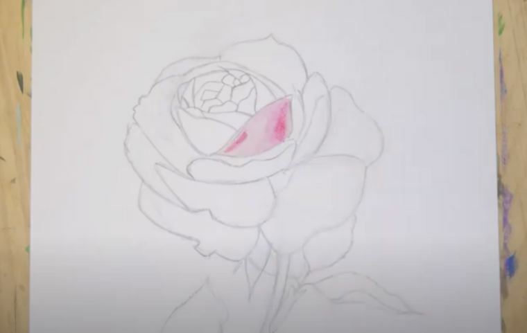 Рисуем Роза акварелью