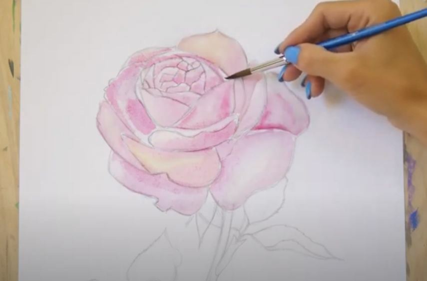 Рисуем Роза акварелью