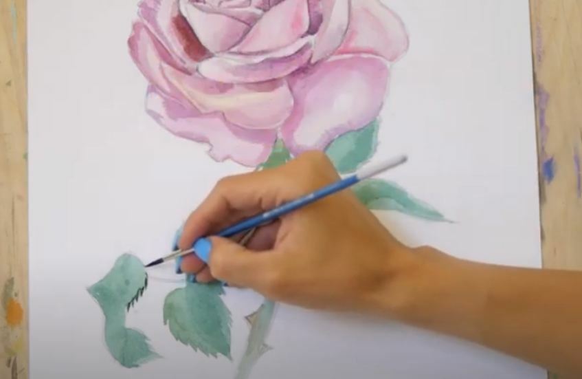Рисуем Роза акварелью