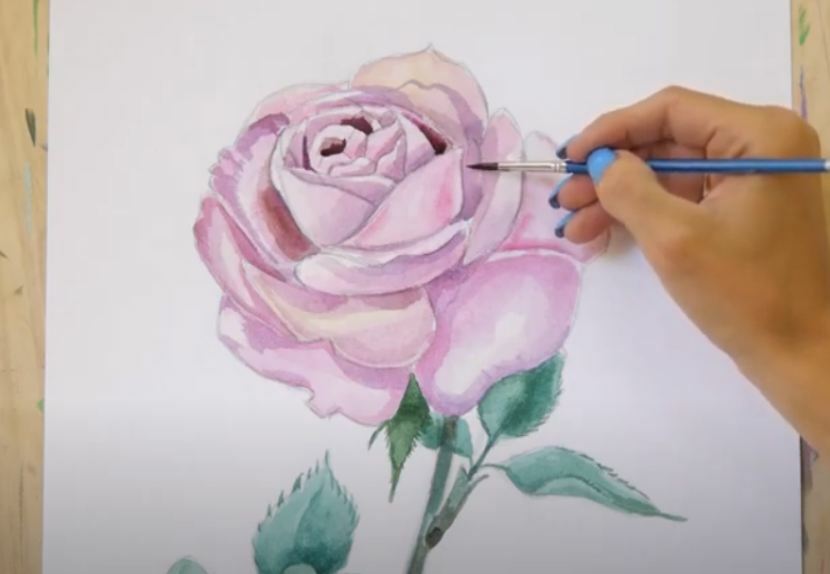 Рисуем Роза акварелью