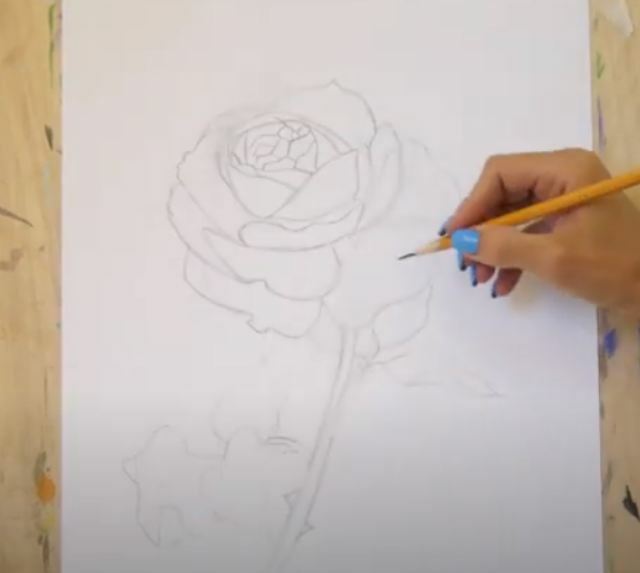 Рисуем Роза акварелью