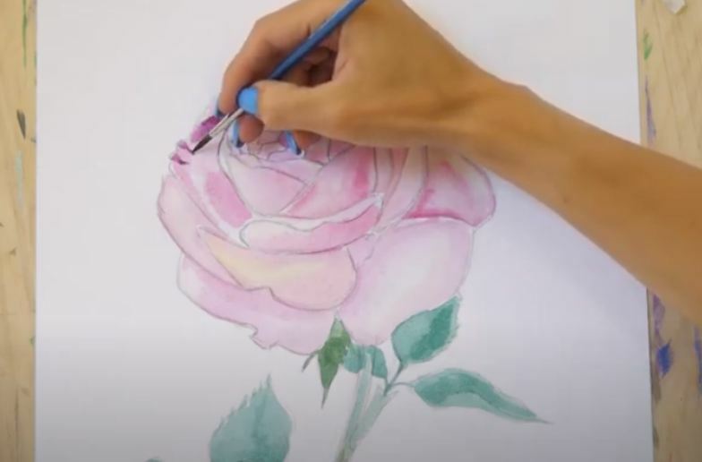 Рисуем Роза акварелью