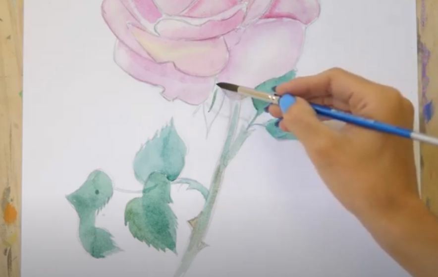 Рисуем Роза акварелью