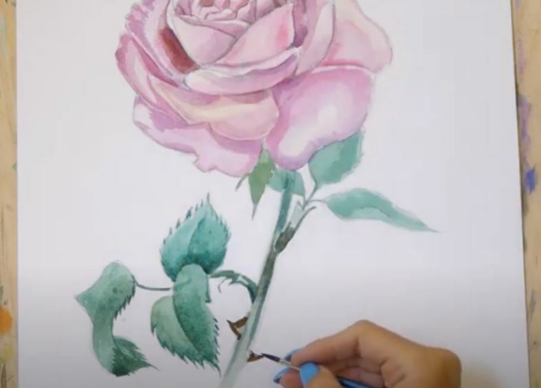 Рисуем Роза акварелью