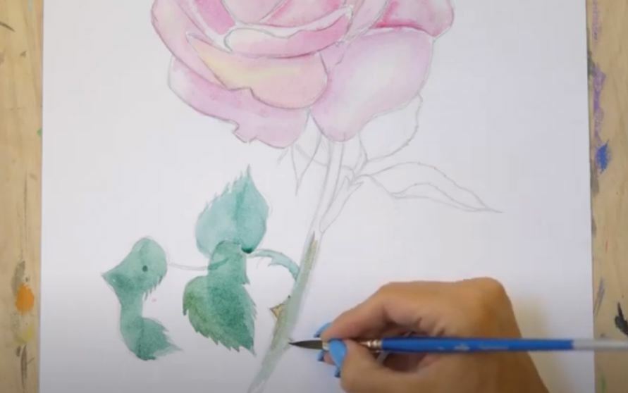 Рисуем Роза акварелью