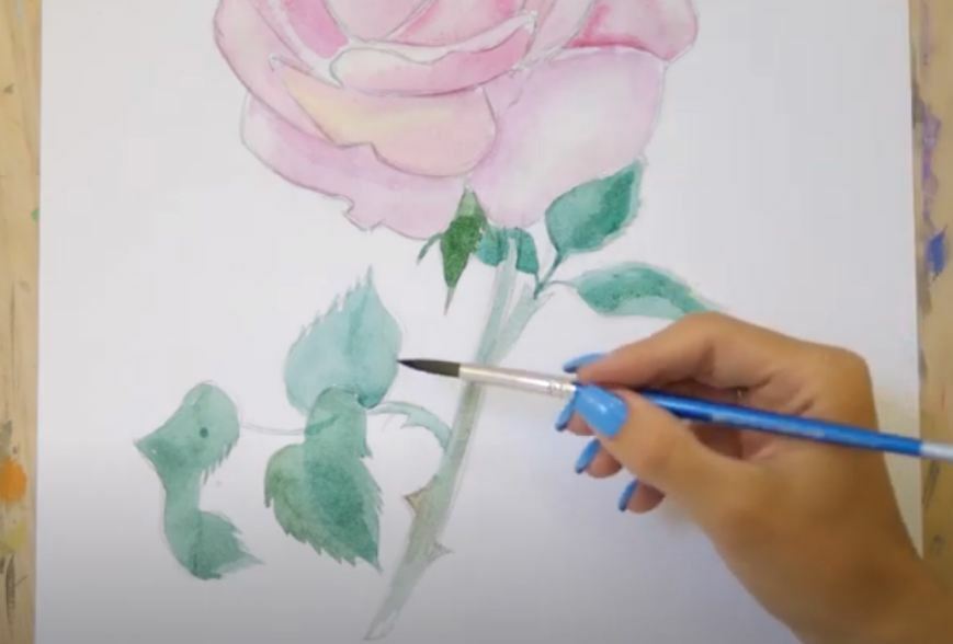 Рисуем Роза акварелью
