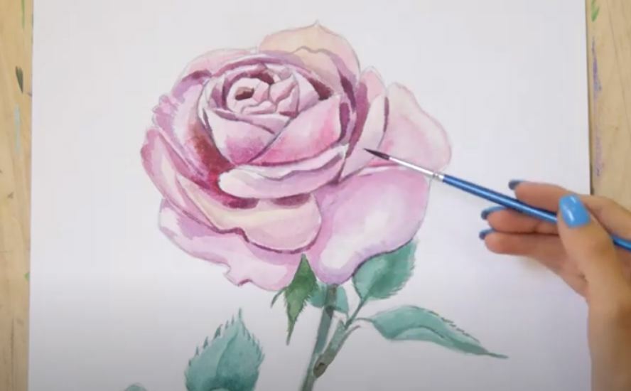 Рисуем Роза акварелью