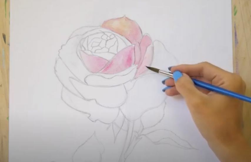 Рисуем Роза акварелью