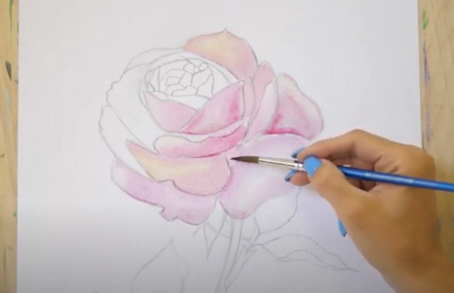 Рисуем Роза акварелью