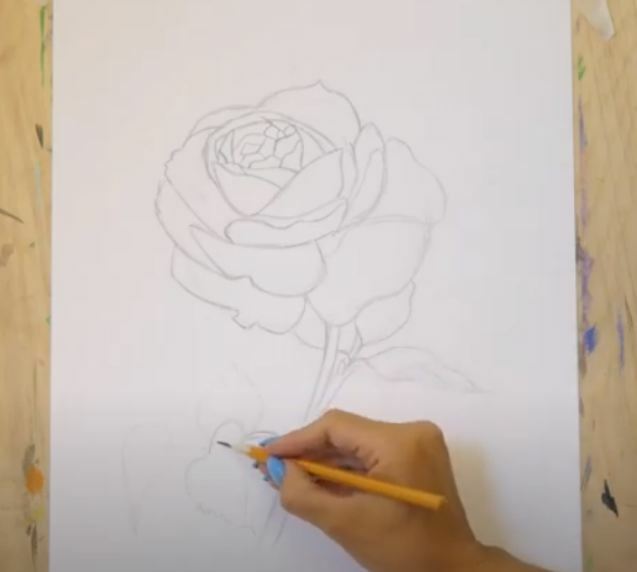 Рисуем Роза акварелью