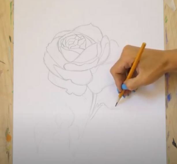 Рисуем Роза акварелью