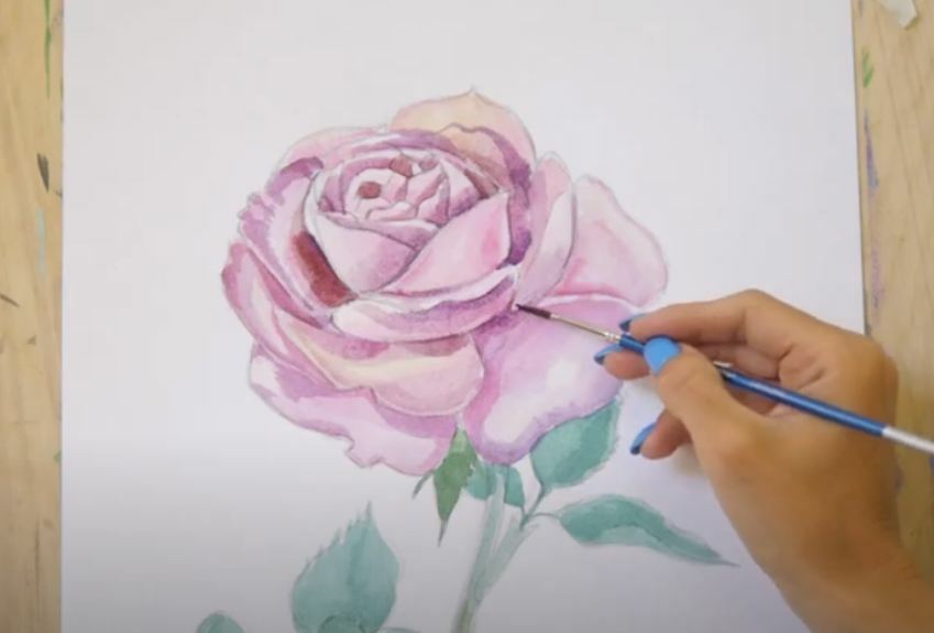 Рисуем Роза акварелью