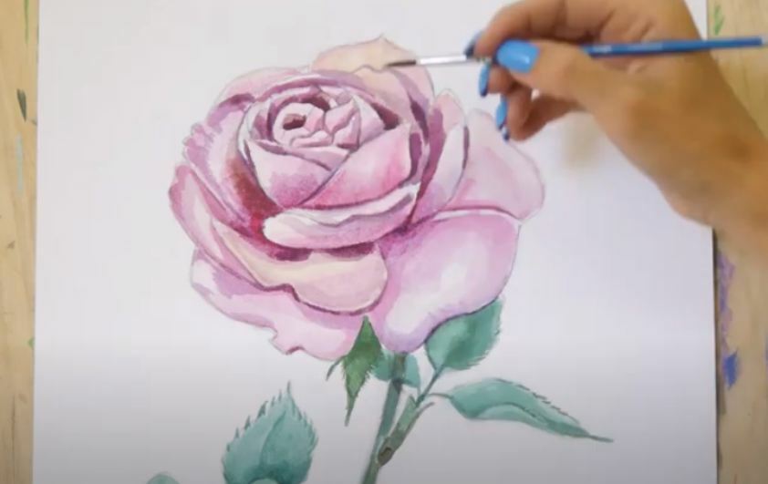 Рисуем Роза акварелью