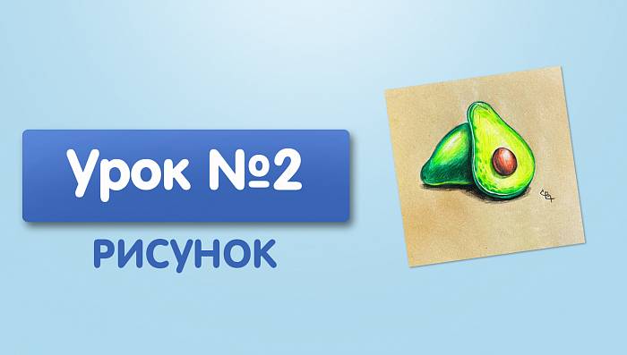 Урок №2. Авокадо