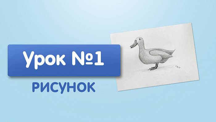 Урок №1. Утка