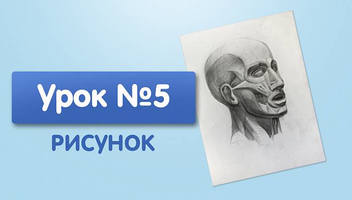 Урок №5. Экорше