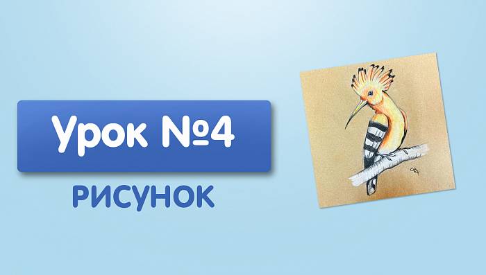 Урок №4. Удод