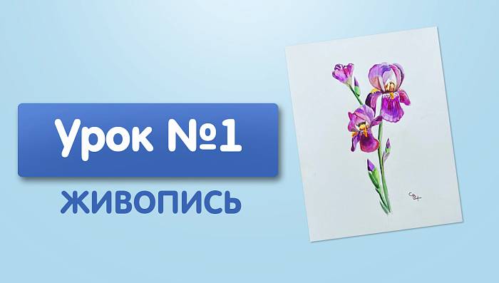 Урок №1. Этюд цветка. Ирис