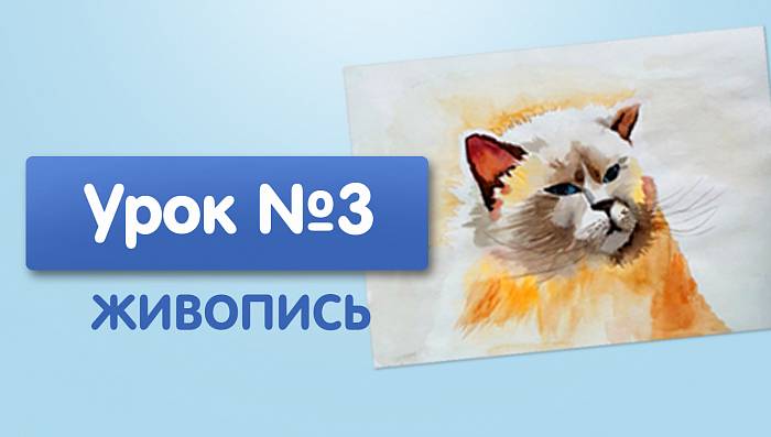 Урок №3. Пушистый кот