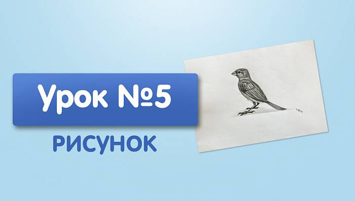 Урок №5. Воробей