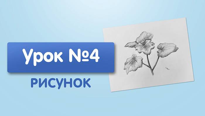 Урок №4. Рисунок. Листья растерия