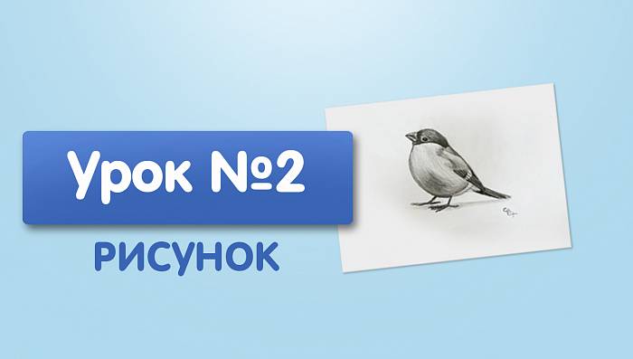 Урок №2. Снегирь