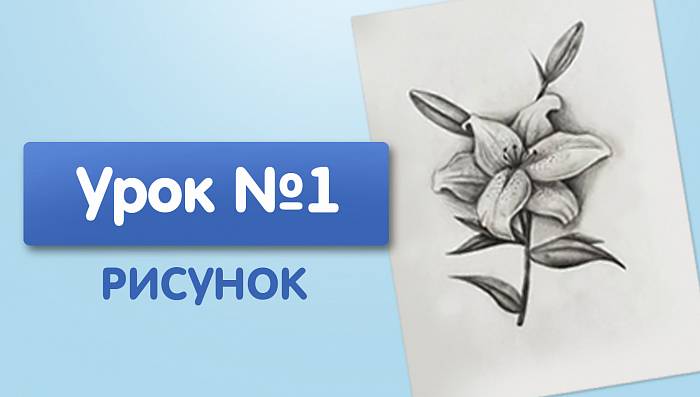 Урок №1. Лилия