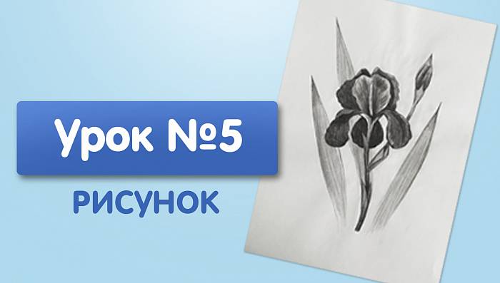 Урок №5. Ирис