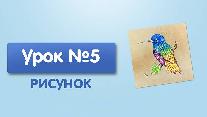 Урок №5. Колибри