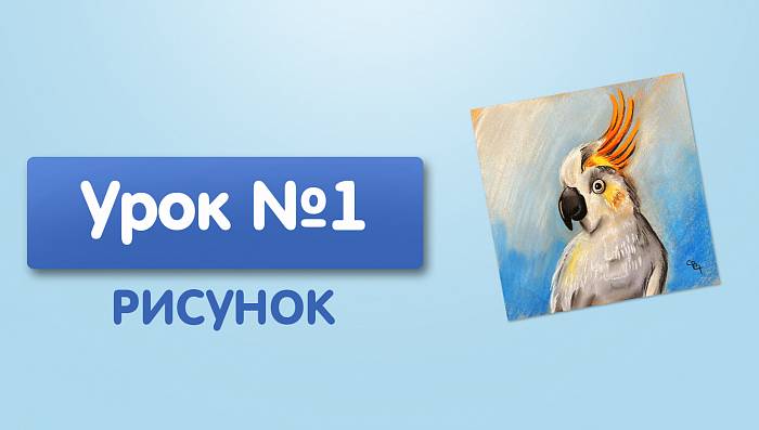 Урок №1. Попугай