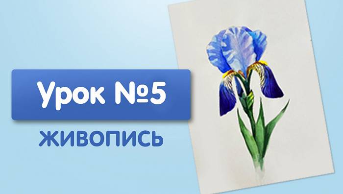 Урок №5. Ирис