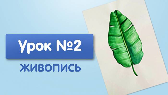 Урок №2. Банановый лист