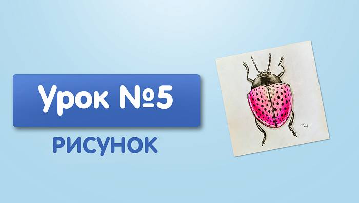 Урок №5. Розовый жук