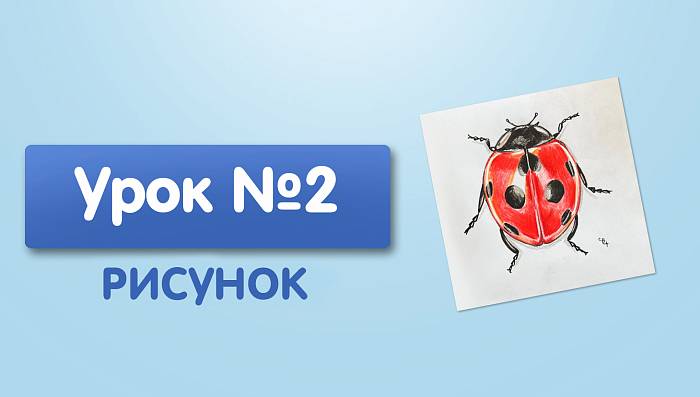 Урок №2. Божья коровка