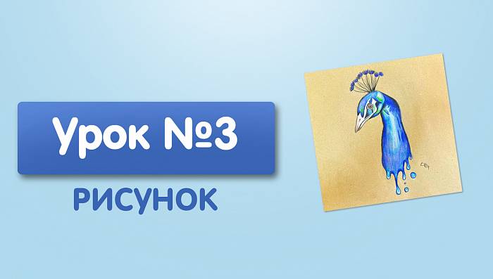 Урок №3. Павлин