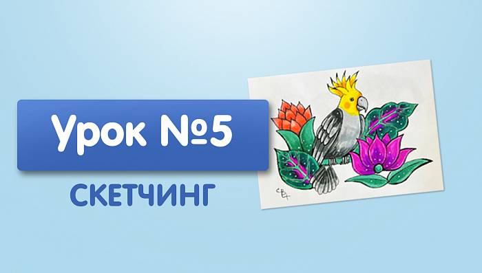 Урок №5. Попугай