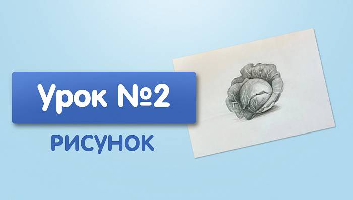 Урок №2. Капуста