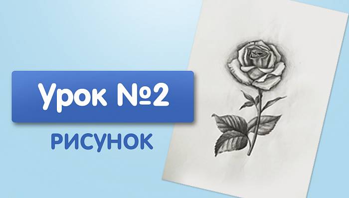 Урок №2. Роза