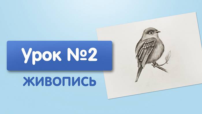 Урок №2. Птица