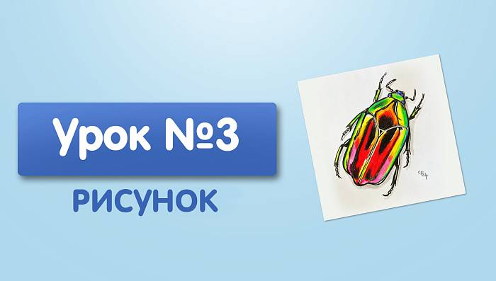 Урок №3. Тёплый жук