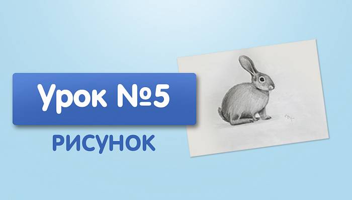 Урок №5. Заяц