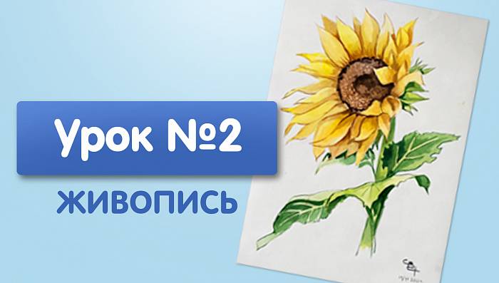 Урок №2. Подсолнух