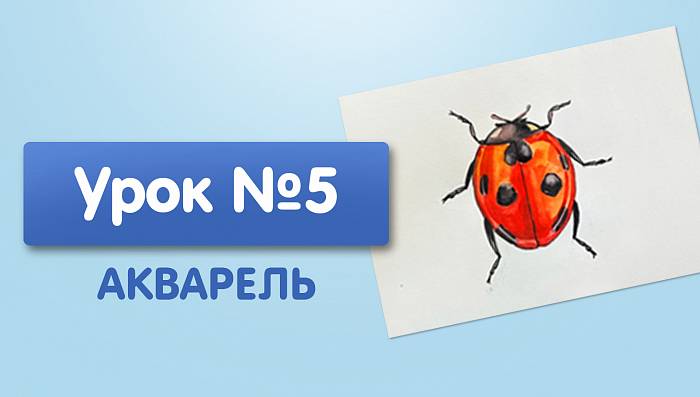 Урок №5. Божья коровка - акварелью