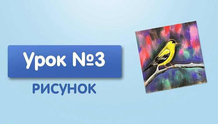 Урок №3. Желтая птичка