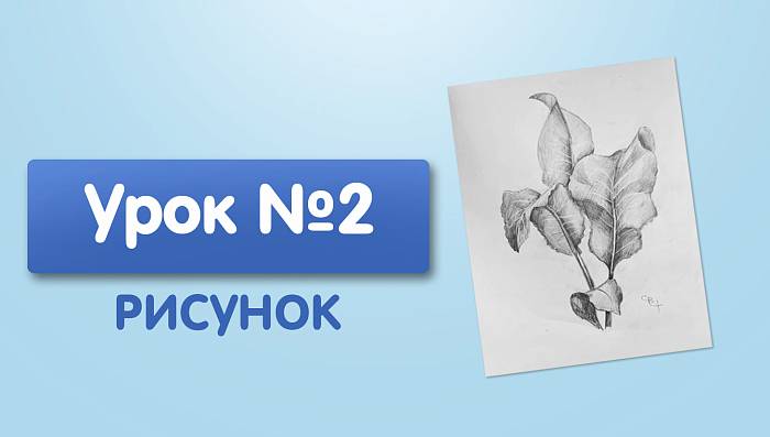 Урок №2. Рисунок листьев. Хрен