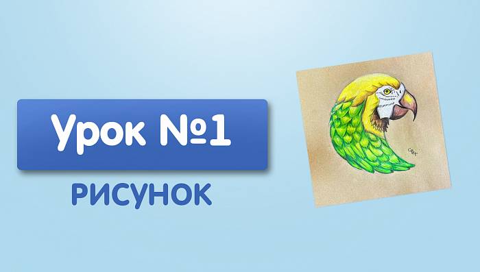 Урок №1. Попугай