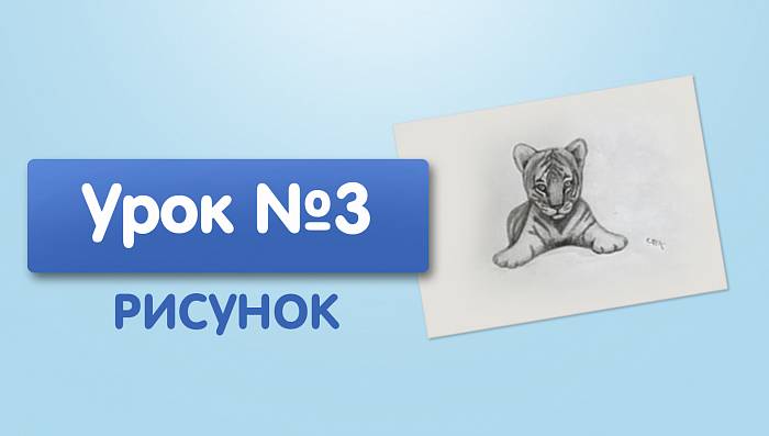 Урок №3. Тигр