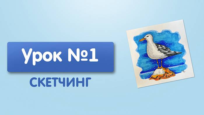 Урок №1. Чайка