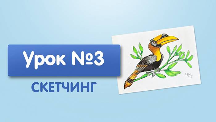 Урок №3. Тукан